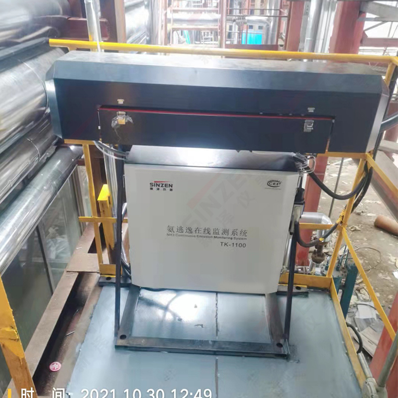 氨逃逸監(jiān)測(cè)儀